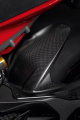pani_rear_fender_1.png