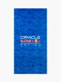 Logo-Beach-Towel (1) (1).jpeg